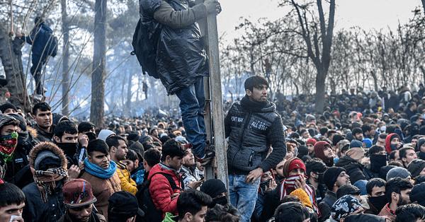 „Alternatyva Vokietijai“ partijos reakcija į „Žaliųjų“ reikalavimą atvežti į Vokietiją 5000 imigrantų iš Graikijos pasienio