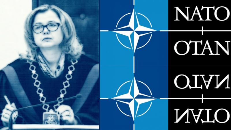 Konstitucinis principas lemia Lietuvos narystės NATO įsipareigojimus, kurie negali būti paneigti net ir Konstitucijos pataisomis