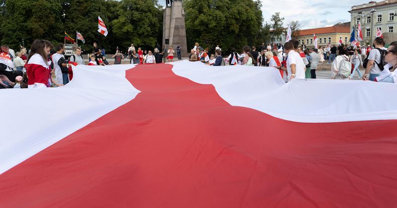 Rusų portalas „Vzgliad“ apie litvinizmą ir Lietuvą
