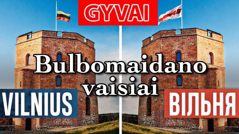 GYVAI: Bulbomaidano vaisiai – LICVINISTAI JAMA VILNIĄ!