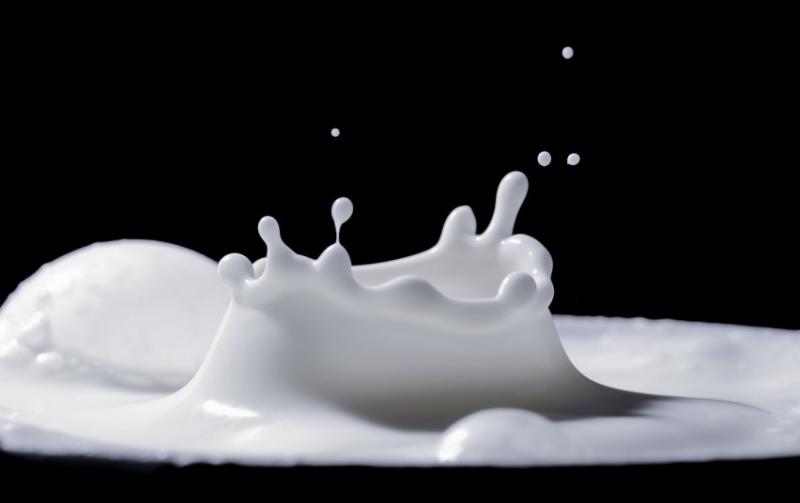 Kokia pienininkystės ūkių ateitis?