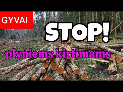 GYVAI: STOP miškų naikinimui Lietuvoje! 12:00, Vilnius